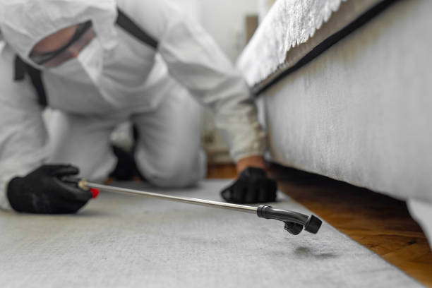 Professional Termite Control technician working in Anna, OH