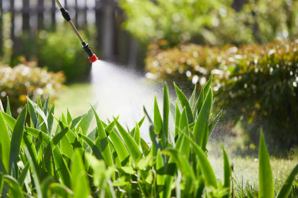 24/7 Emergency Termite Control experts in Anna, OH