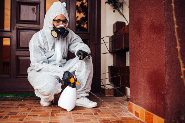 Reliable Termite Control contractor in Anna, OH by Nex Pest Control